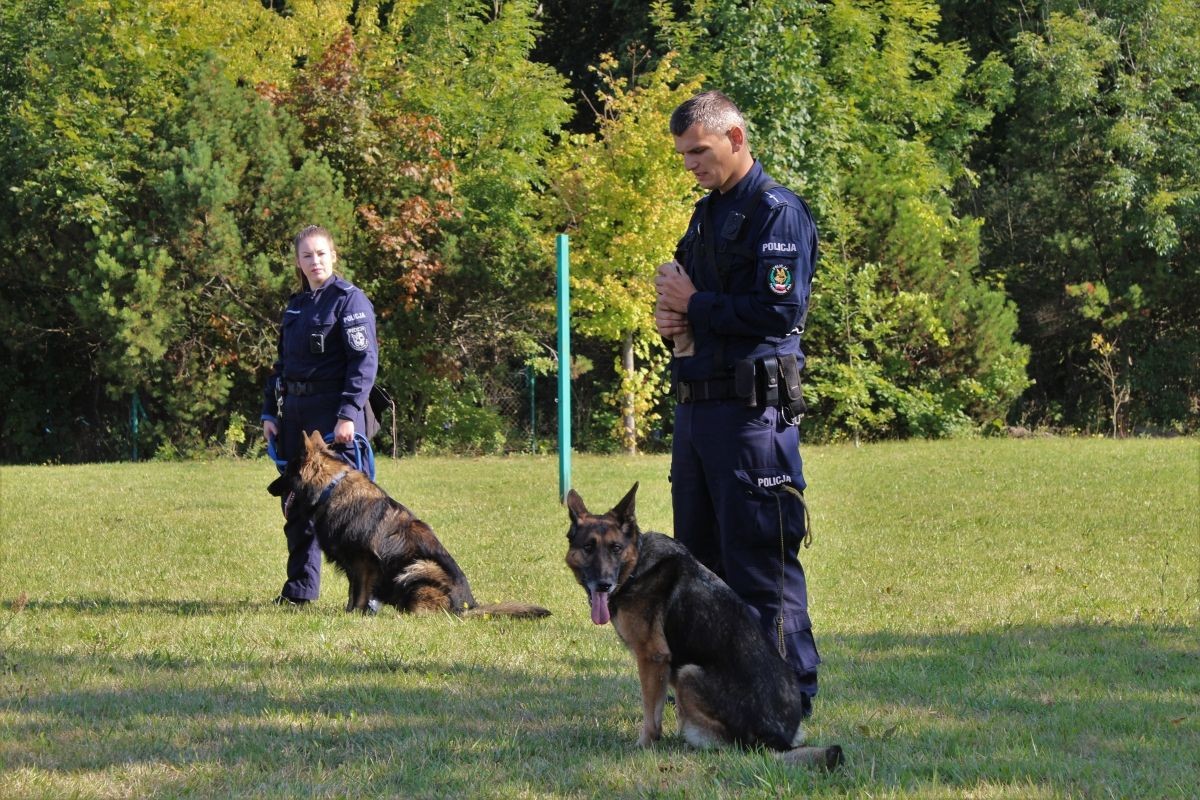 Pokaz Policji