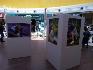 Galeria modelek
